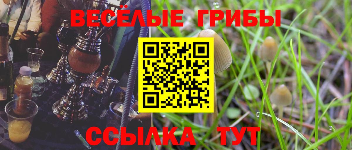 Набережные Челны  даркнет сайт  Вход с VPN  Галлюциногенные грибы ЛСД 